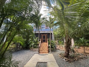 A tropical resort with a wooden staircase leading to a building, surrounded by dense palm trees and a gravel pathway.