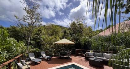 Sol Cottage Villa 2 BR, 1 BA, pool, lush landscaping, AC in fabulous Fish Bay