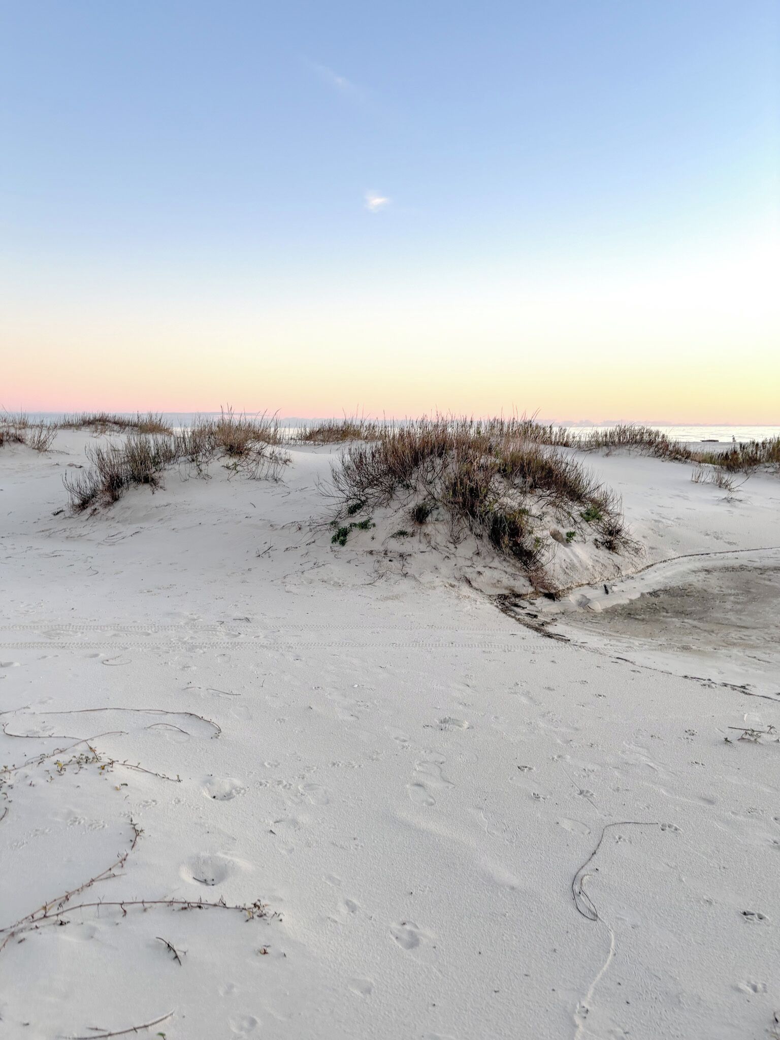 Una playa arenosa con dunas y vegetación dispersa.