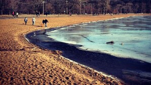 A beach with a frozen water body, sandy shore, and leafless trees in the background.