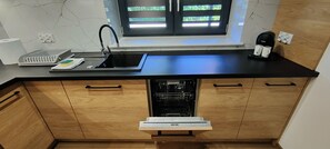 Fridge, microwave, oven, dishwasher - Tarnów Velo Apartment - House (Tarnów)