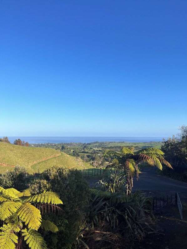 A coastal landscape with a clear view of the ocean and rolling hills. - ESCAPE TO THE COUNTRY (Kaitake)