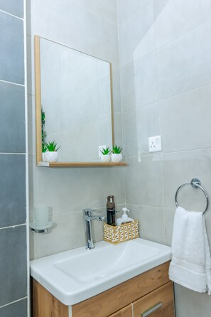 Shower, bidet, towels, soap