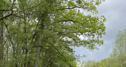 Charming 3-bedroom cabin with wonderful nature view in Farwell
