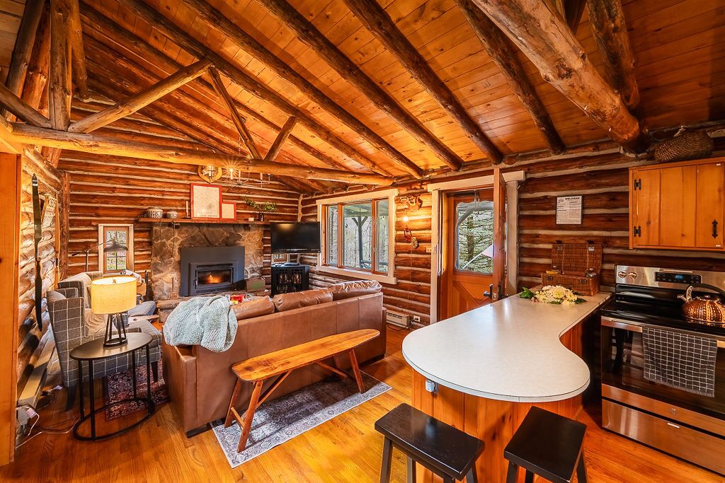 Smart TV, chimenea, libros, videoteca