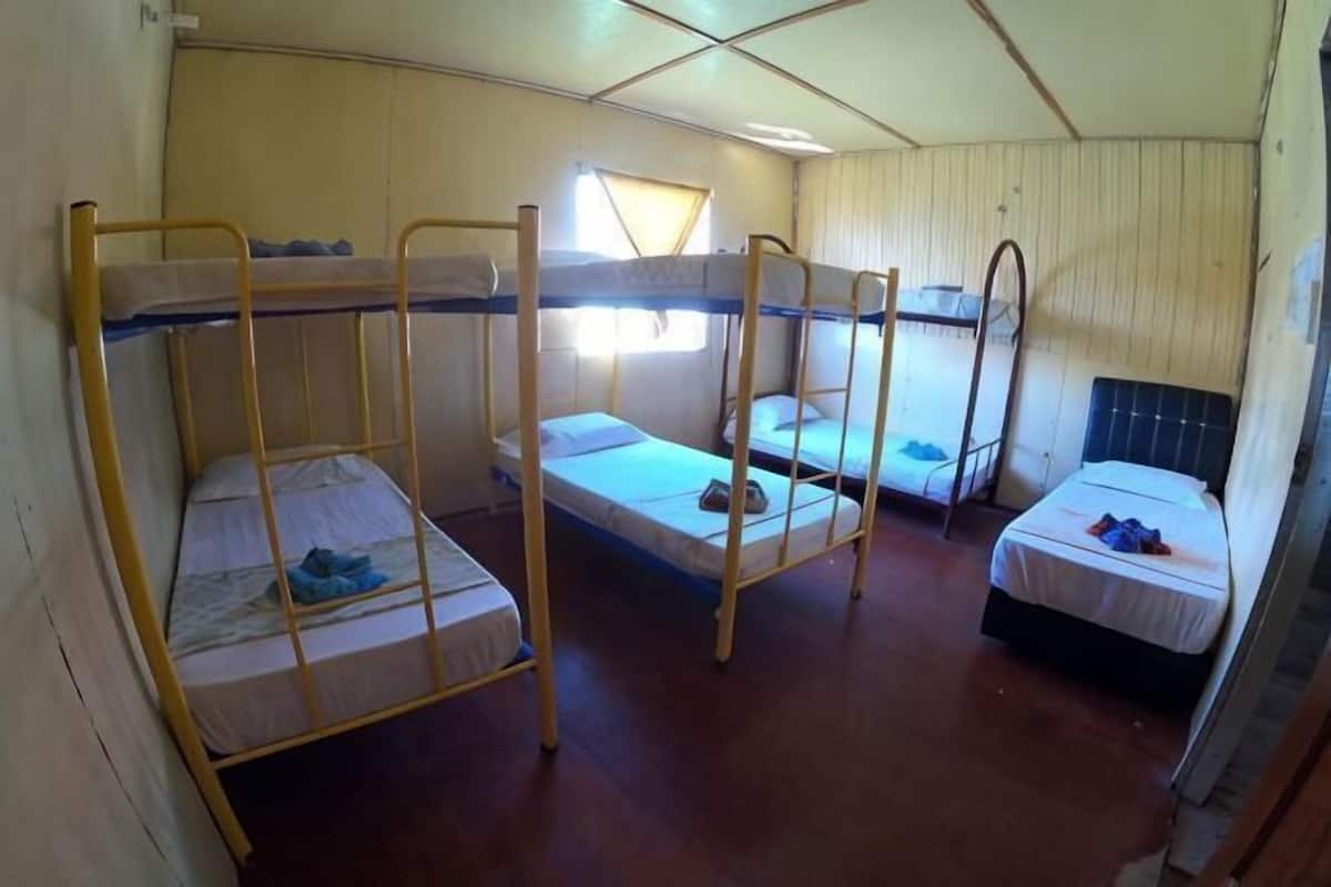 Llits búnquers en una habitació amb parets de fusta i una finestra.