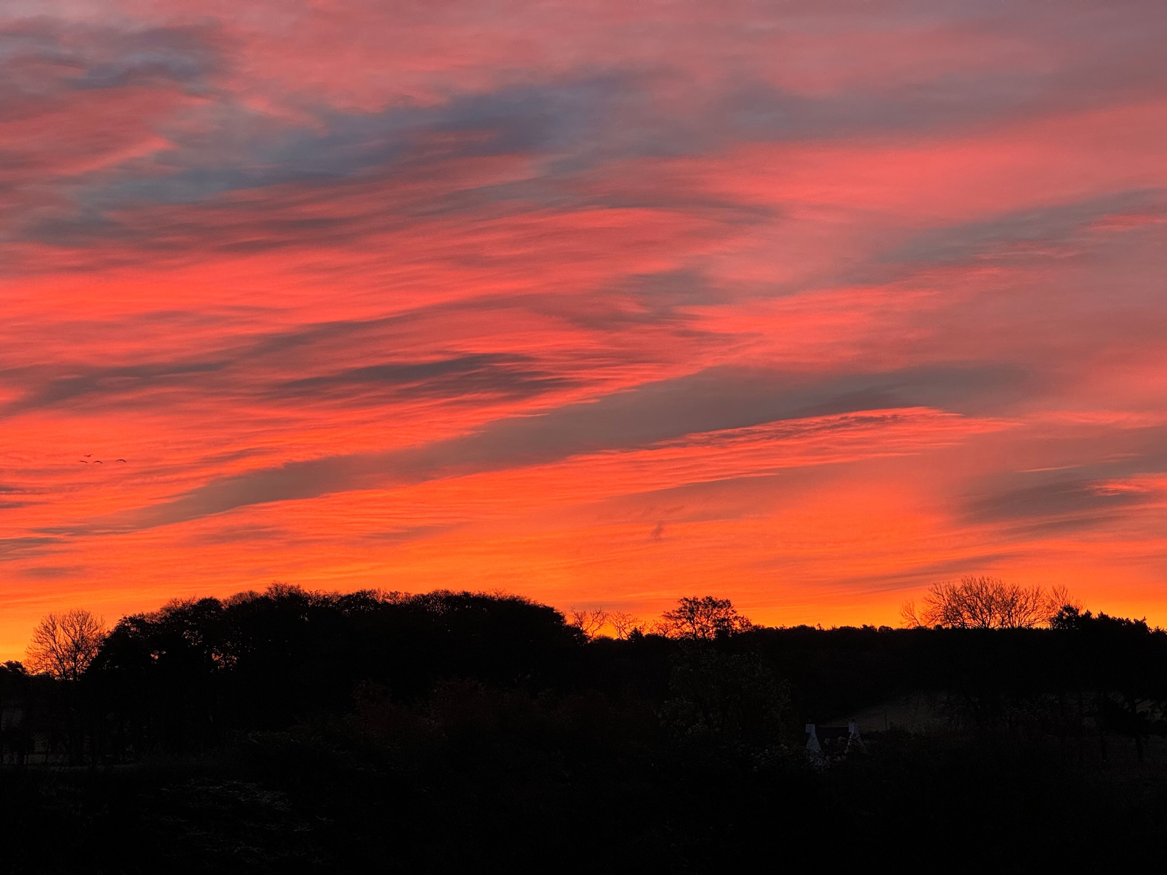 A sunset with a vibrant sky and silhouettes of trees.