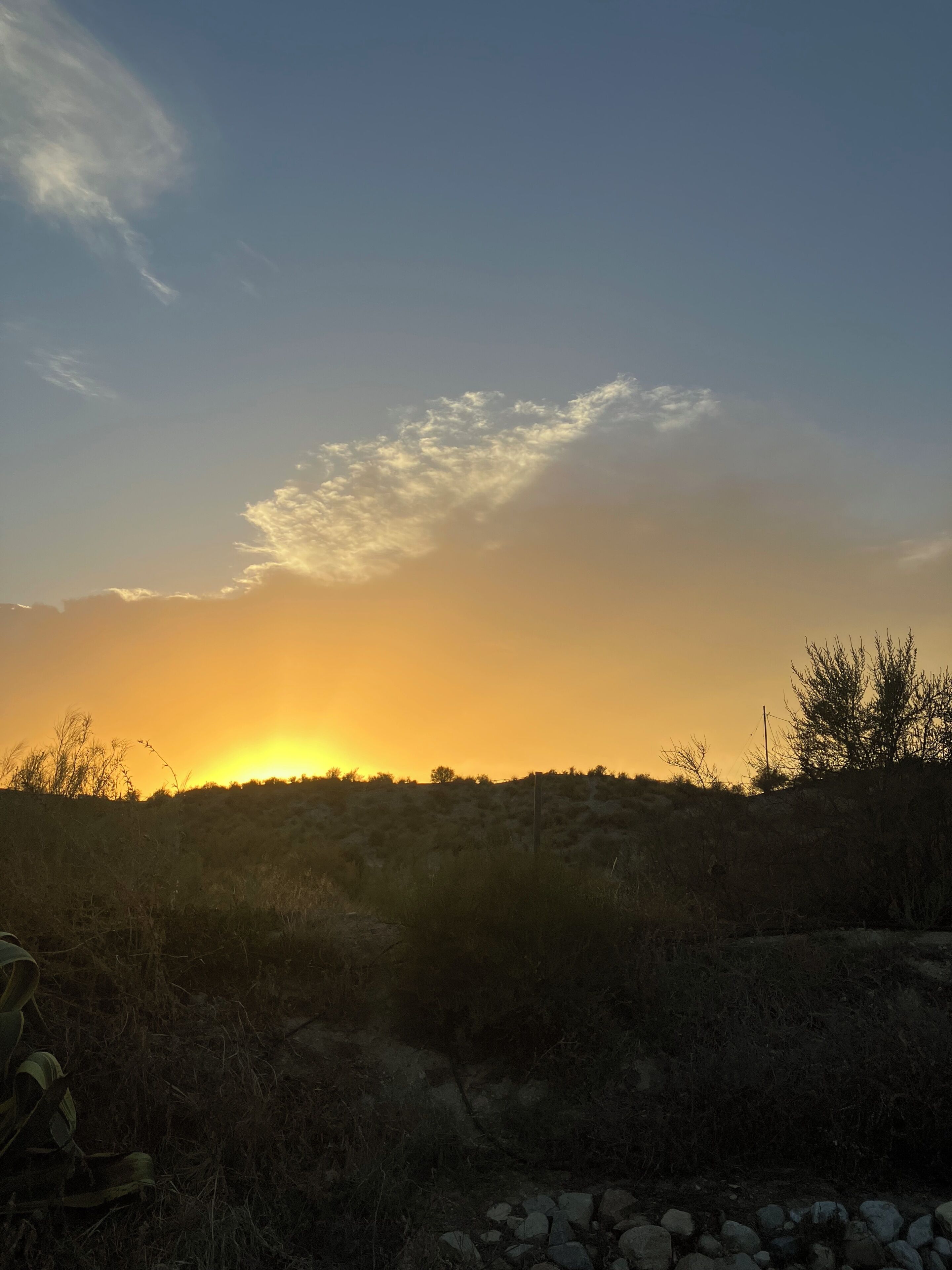 A sunset over a dry landscape with sparse vegetation and a clear sky.