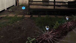 Imagen sin descripción, 3 de 25, botón