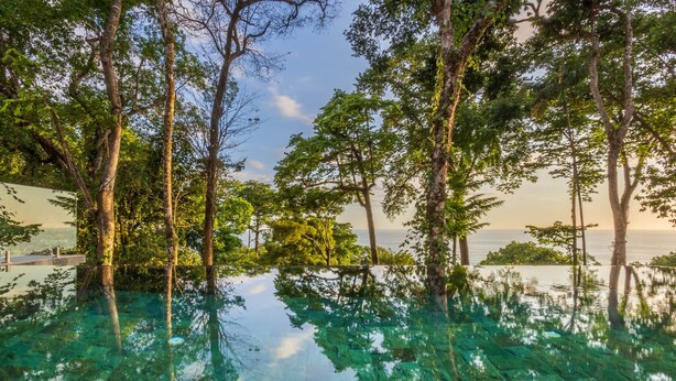 A clear pool surrounded by trees with a view of the sea.