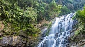 Ein Wasserfall stürzt über felsiges Gelände, umgeben von dichtem Grün.
