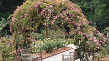 Jardines del alojamiento