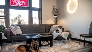 A modern living room with a sofa, a coffee table, and a dog lying on a patterned rug. - Luxury Meets Historic @ The Luxe Loft - AMAZING LOCATION! (Algoma)