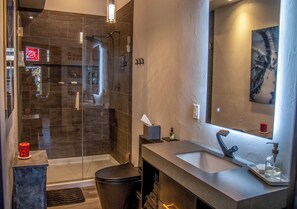 Regadera, amenidades de baño ecológicas, secadora de cabello, toallas 