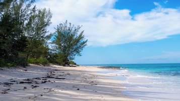 Sun loungers, beach towels