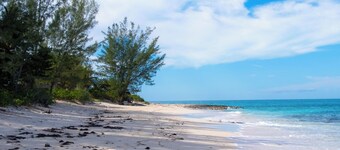 New Luxe Condo | Gated | 5 min walk to Love Beach | Pool & Gym | Pet-friendly