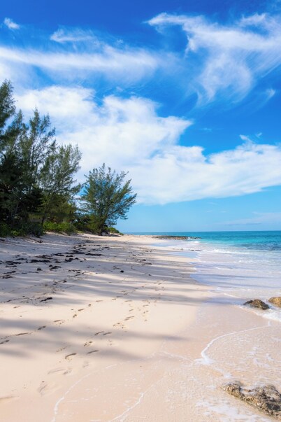 New Luxe Condo | Gated | 5 min walk to Love Beach | Pool & Gym | Pet-friendly