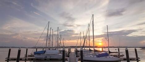 Marina