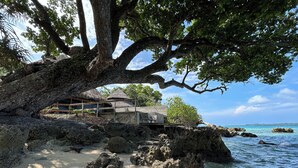 A tree-covered rocky beach with a thatched-roof structure. - Black Pearl Resort  (Saraotou)