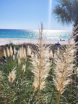 Beach nearby - Bring your Pet! Amazing 3rd floor unit! Outstanding Views and Amenities! (Panama City Beach)