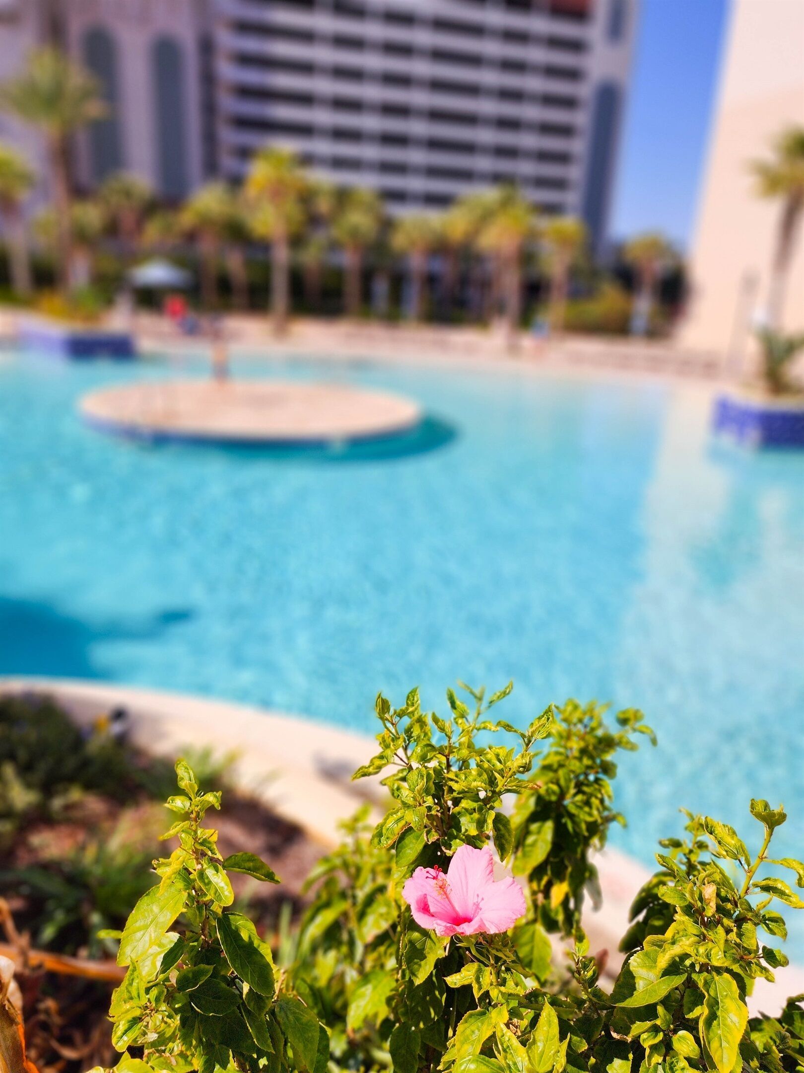 Una piscina con un centro circular, rodeada de vegetación y un edificio al fondo.