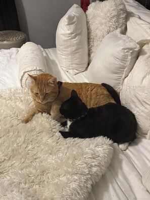 1 bedroom, in-room safe, desk, iron/ironing board