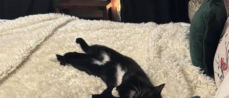 1 bedroom, in-room safe, desk, iron/ironing board