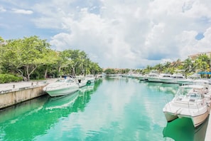 Boats docked along the marina's edge, surrounded by lush greenery and a clear sky.