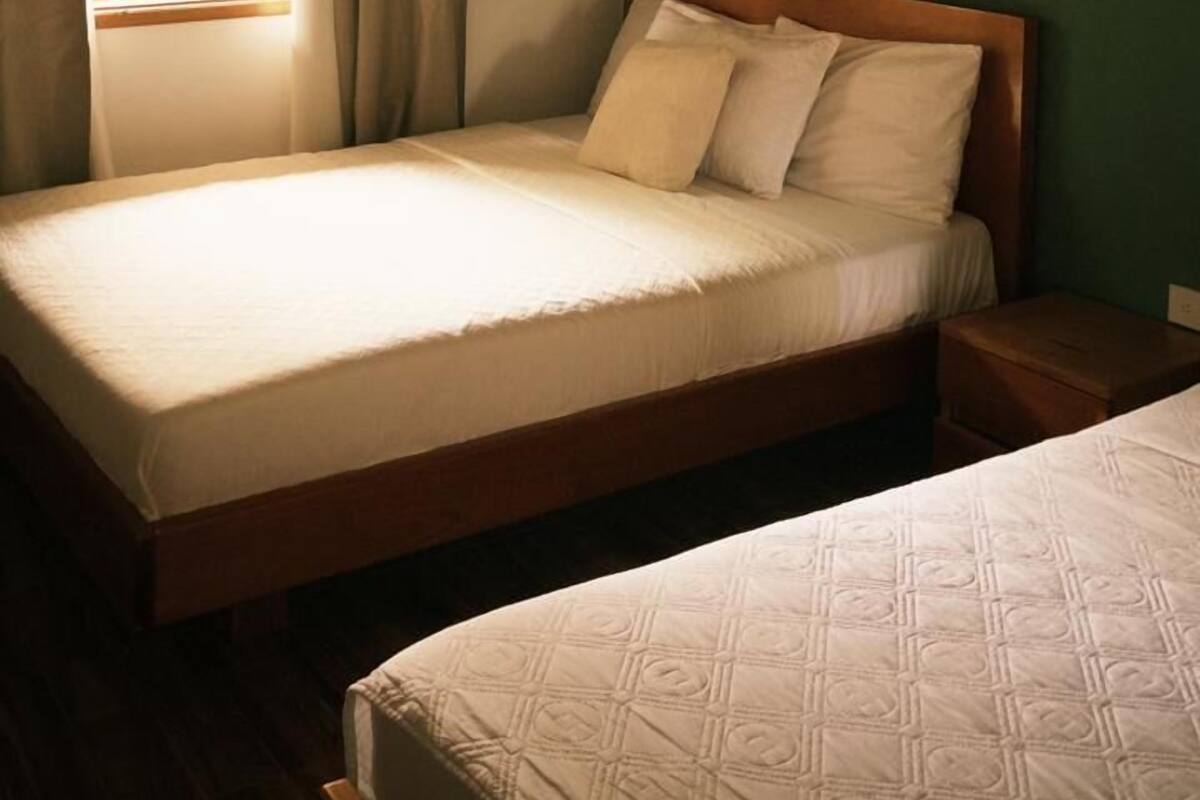 Un dormitorio con dos camas, una ventana con cortinas, una pared verde y techo de madera.