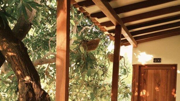 Un balcón de madera con suelo de baldosas, una puerta de madera y un árbol afuera.