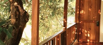 Hotel Jardin Boutique Rodadero