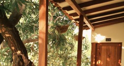 Hotel Jardin Boutique Rodadero
