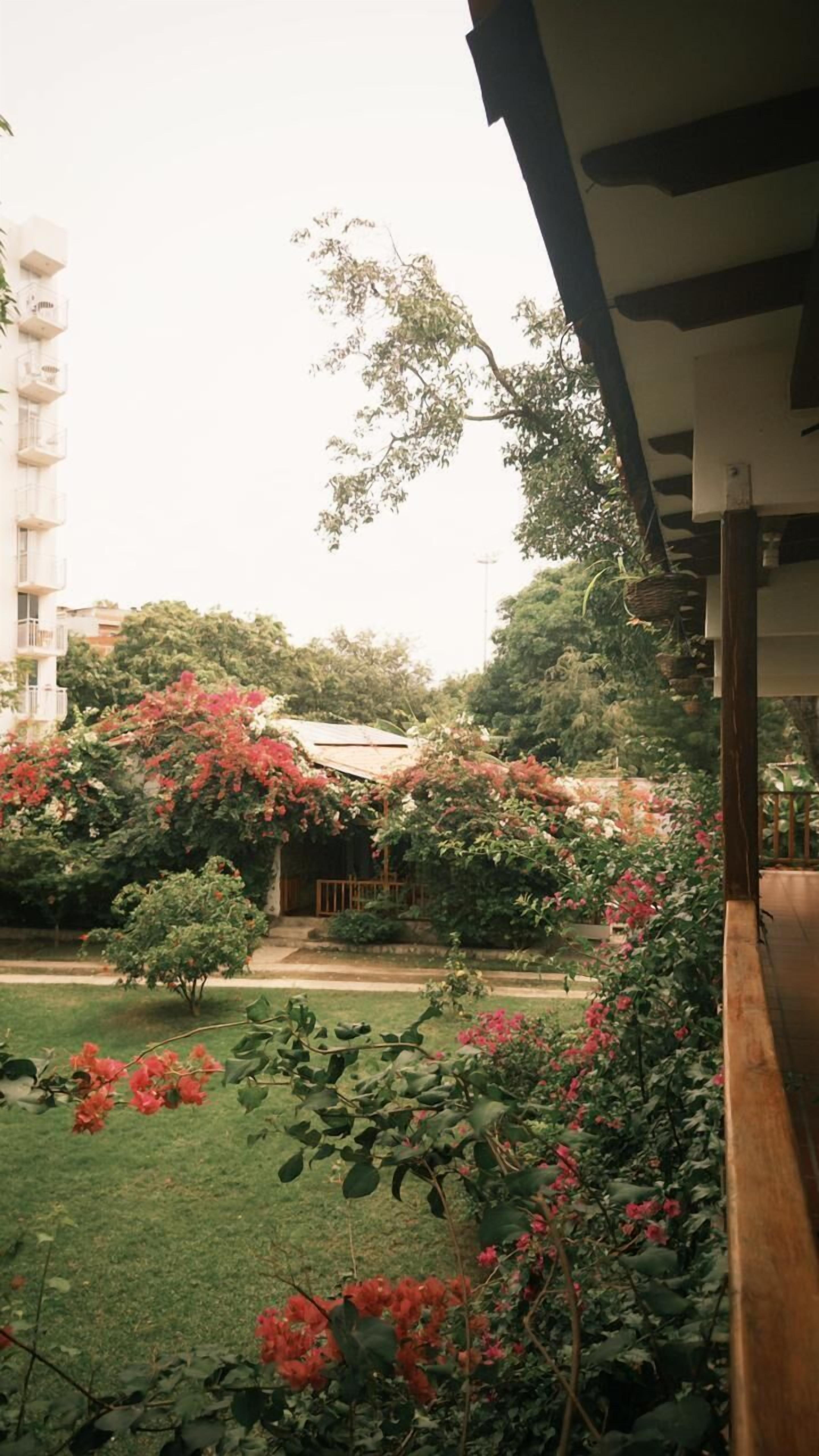 Foto - Hotel Jardin Boutique rodadero