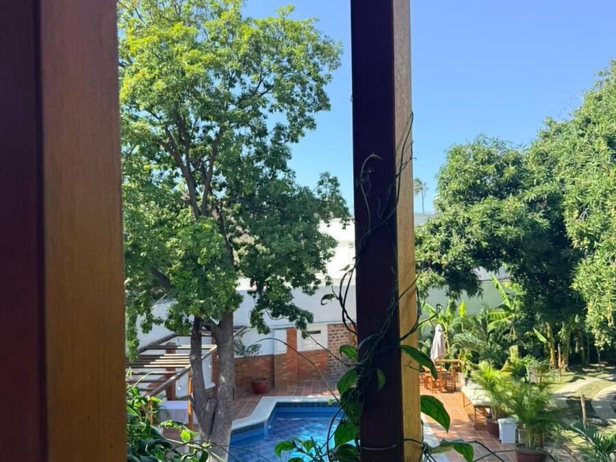 Un espacio al aire libre cubierto con piscina, rodeado de exuberante vegetación y árboles.