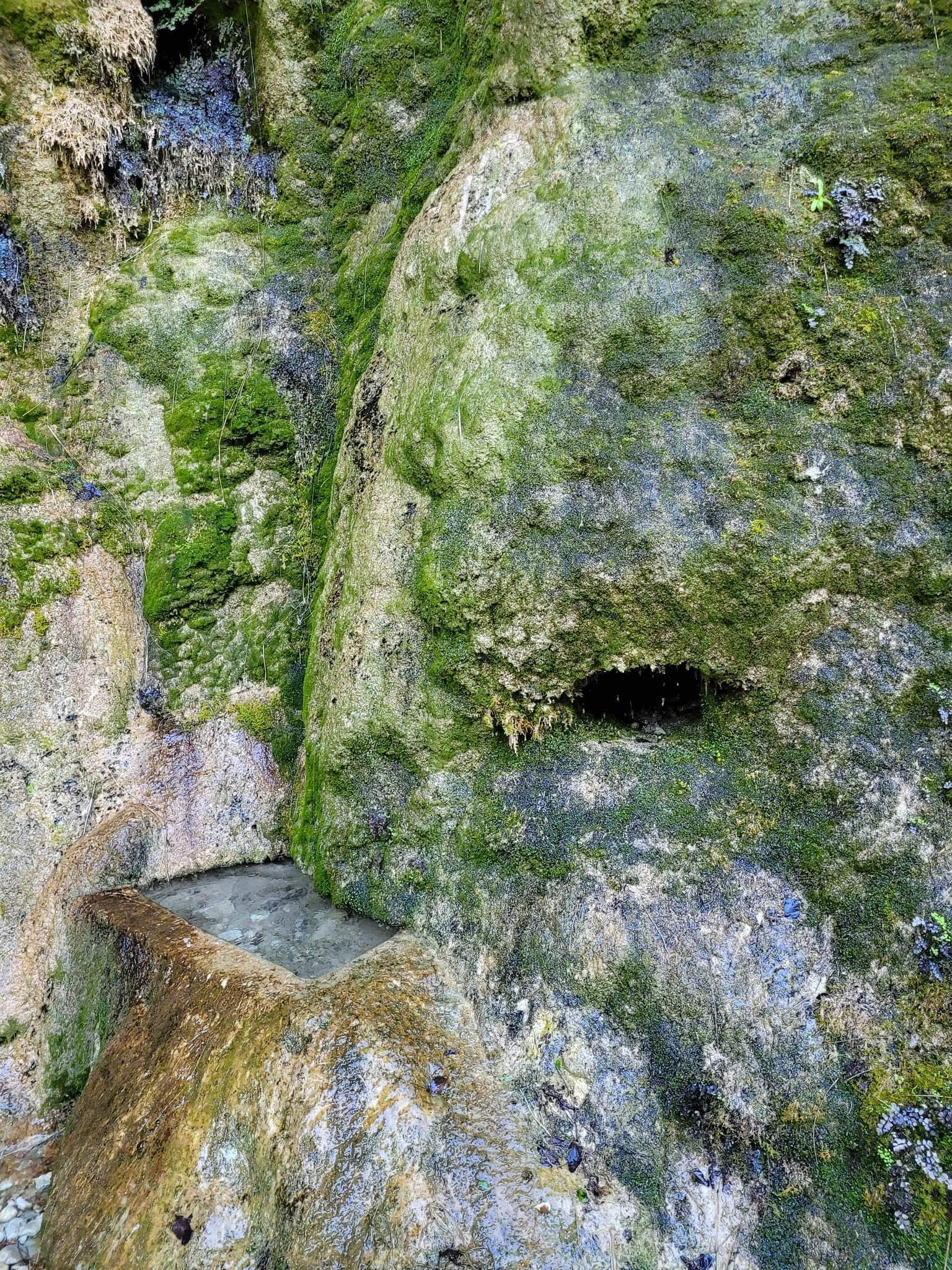 Eine natürliche Felsformation mit Moos- und Flechtenbewuchs.