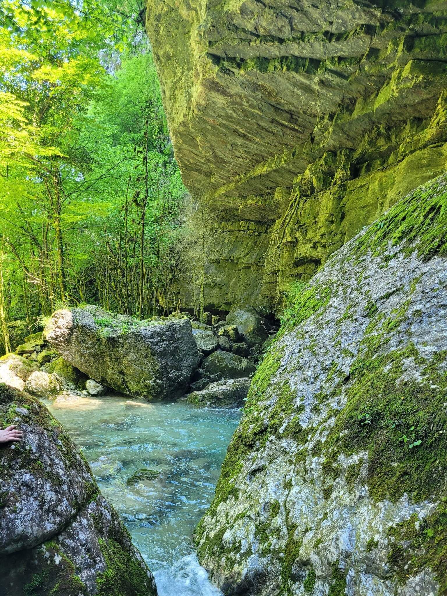 Ein natürlicher, felsiger Bach, umgeben von üppiger Vegetation und moosbewachsenen Steinen.