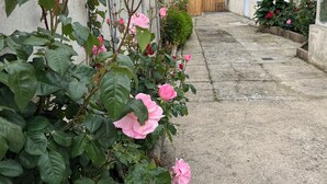 En smal gränd med en rad rosenbuskar längs ena sidan.