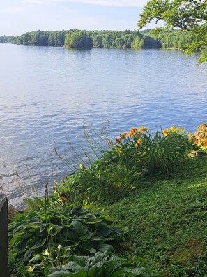 A lake with a grassy shoreline and dense trees in the background. - Lake Iroquois. Lakeside Retreat, Close to Williston, Burlington, Skiing (Hinesburg)
