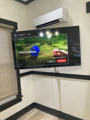 Television
