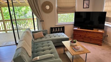 Smart TV, chimenea y libros