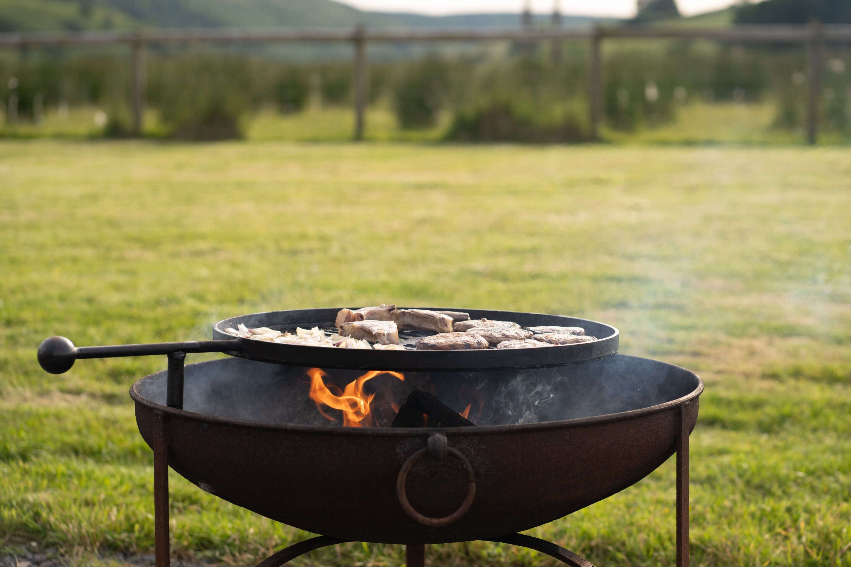 Ein tragbarer Grill mit Lebensmitteln, draußen auf einer grünen Wiese platziert.