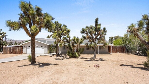 A residential area with a house, a driveway, and several palm trees.