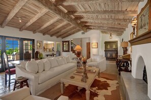 Smart TV, fireplace, books, music library