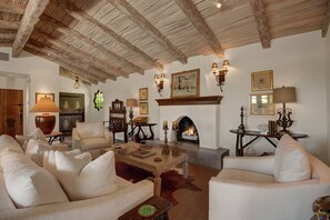 Smart TV, fireplace, books, music library