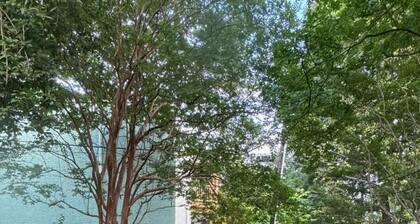Charming Garden Ensuite in delightful Richmond with WiFi