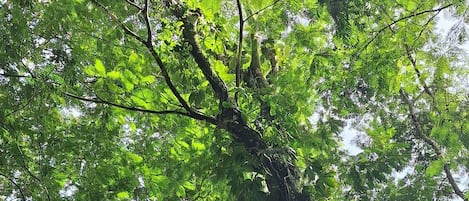Exterieur