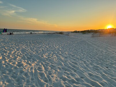 Welcome to SEA-Nanigans. Unit #1366.
A charming condo with Gulf Views.
