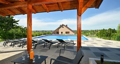 Pet friendly home in Luzan Biskupecki