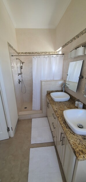 Shower, jetted tub, hair dryer, towels