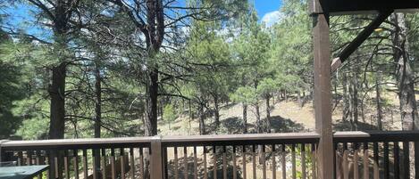 Terrain de lâhĂ©bergement